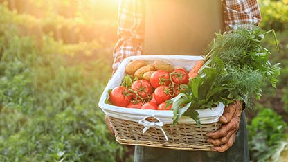 Kirli elleri olan bir işçi tarafından taşınan domates, patates ve havuç sepeti
